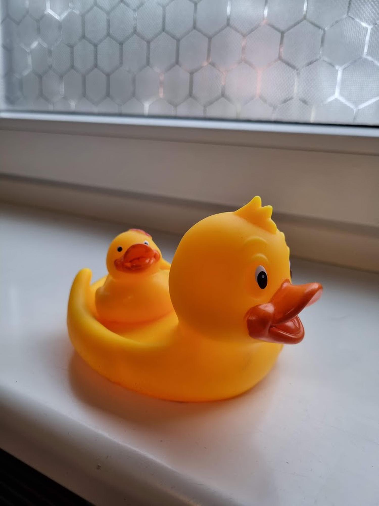 Hackathon, a source of rubber ducks and adrenaline